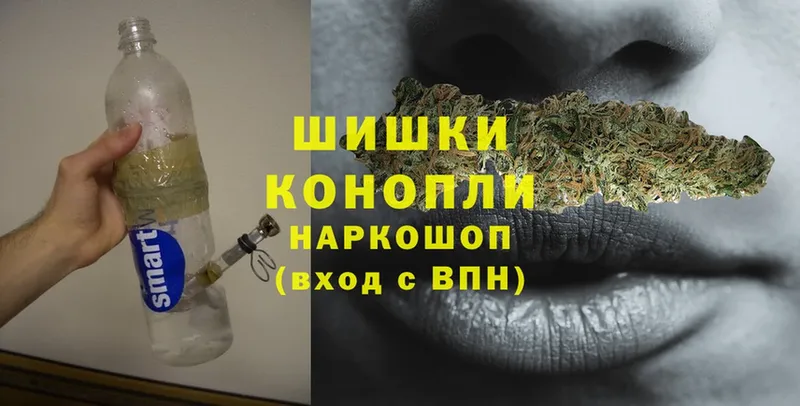 Каннабис Amnesia  купить  сайты  Лодейное Поле 